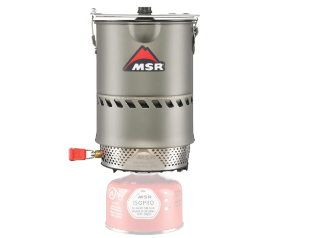 MSR Reactor